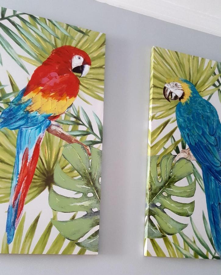 Apartamento Cortadura Beach カディス エクステリア 写真